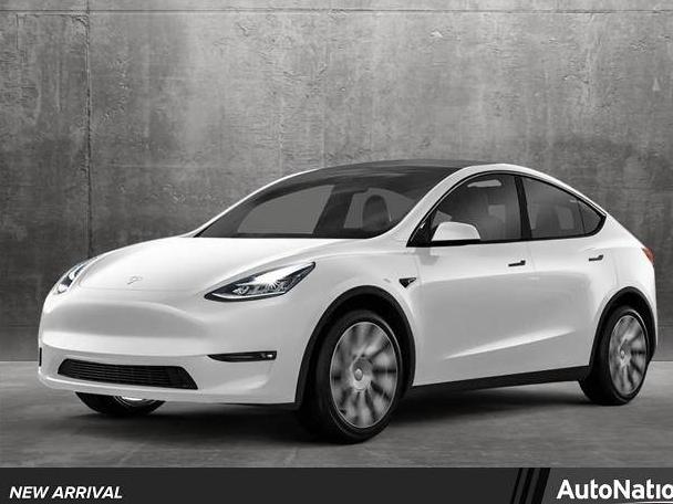 TESLA MODEL Y 2021 5YJYGDEE2MF060895 image